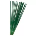 Eucalyptus Heart Chakra Incense Sticks 20 Pack - Sacred Chakra at Spencer's