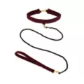 Bondage Collar and Leash - Pleasure Bound at Spencer's