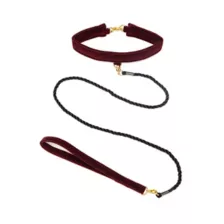 Bondage Collar and Leash - Pleasure Bound at Spencer's