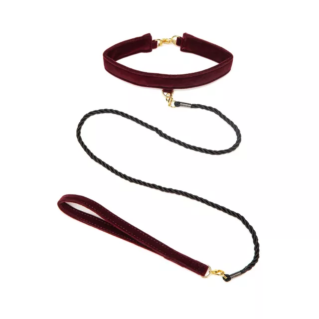 Bondage Collar and Leash - Pleasure Bound at Spencer's