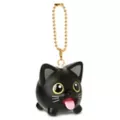 Black Cat Charm at Spencer's