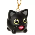 Black Cat Charm at Spencer's