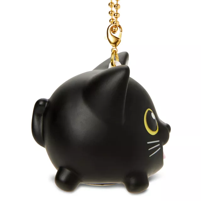 Black Cat Charm at Spencer's
