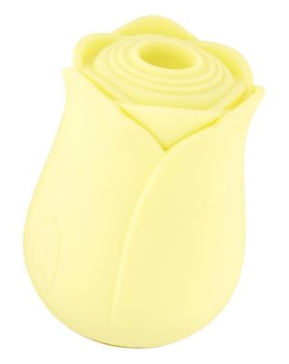 Suction Vibrator