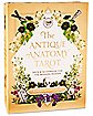 The Antique Anatomy Tarot Cards and Guidebook