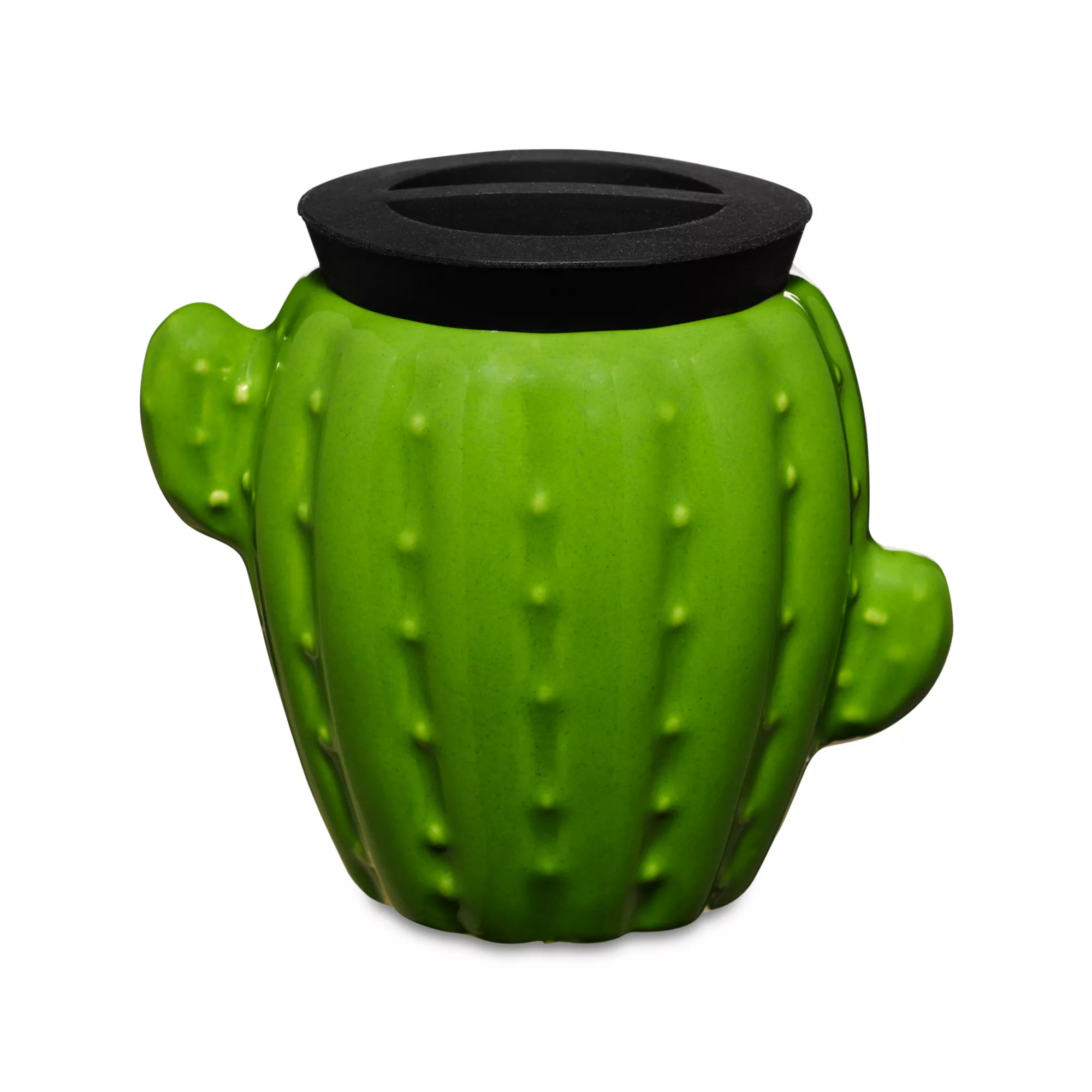Cactus Stash Jar - 3 oz. at Spencer's