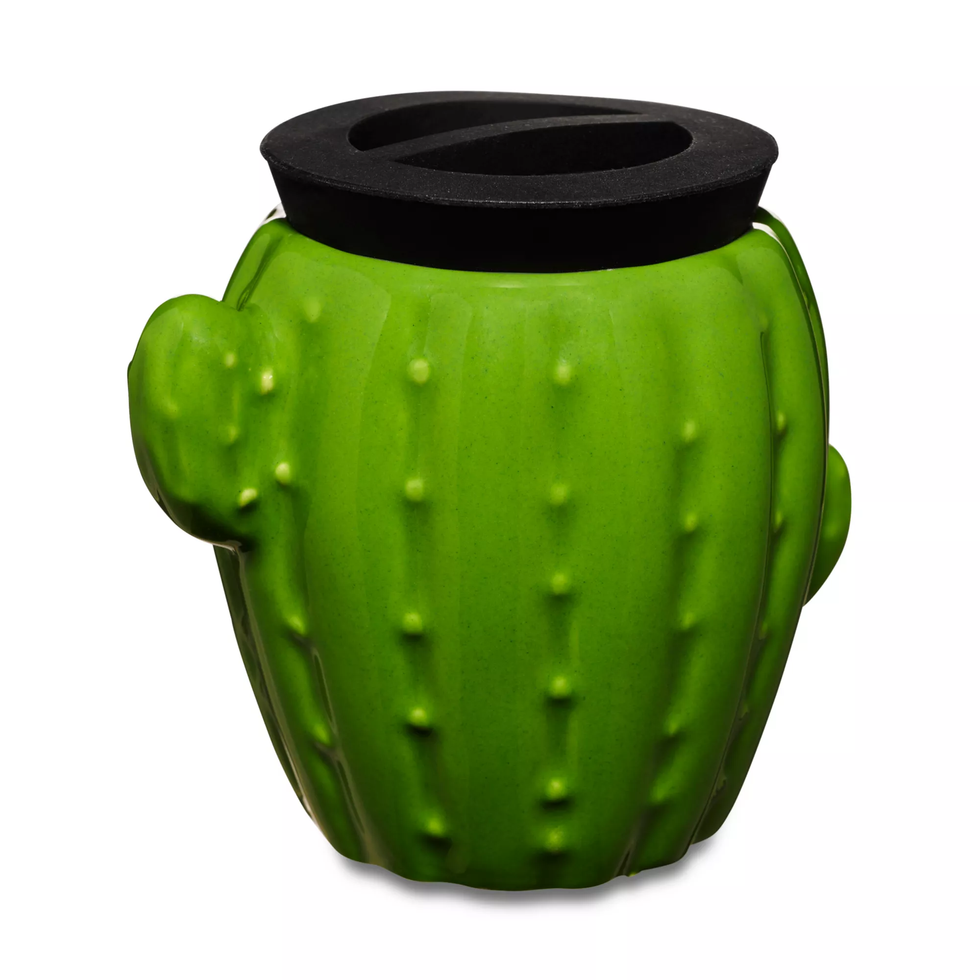 Cactus Stash Jar - 3 oz. at Spencer's