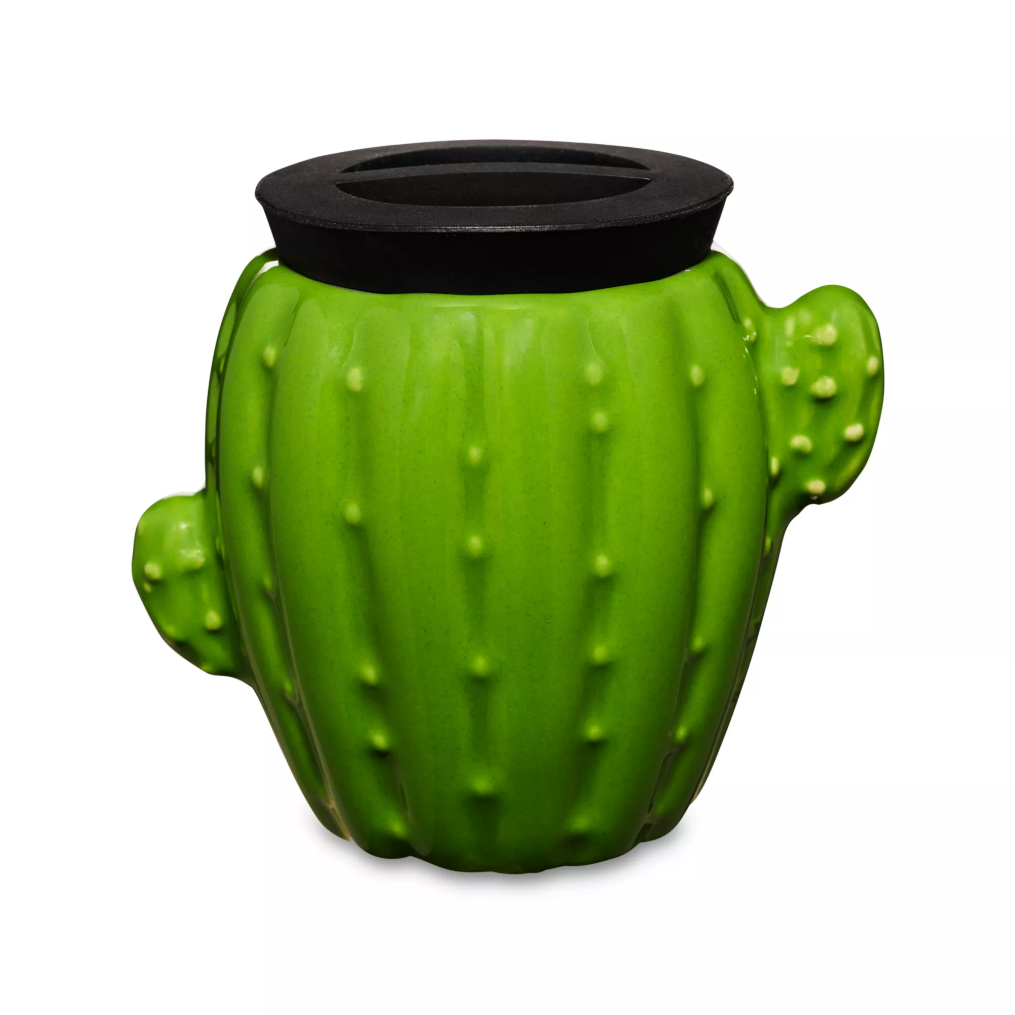 Cactus Stash Jar - 3 oz. at Spencer's