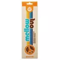 Wild Fire Incense Sticks - 100 Pack at Spencer's