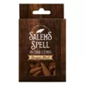Dragon's Blood Incense Cones - 50 Pack at Spencer's