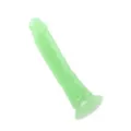 Afternoon D-Light Glow in the Dark Suction Cup Dildo Green 8 Inch - Hott Love Extreme at Spencer's
