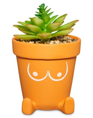 Boobies Planter