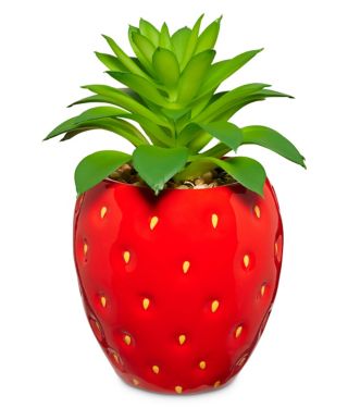 Strawberry Planter