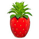 spencersonline.com | Strawberry Planter