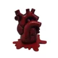 Anatomical Heart Incense Burner at Spencer's