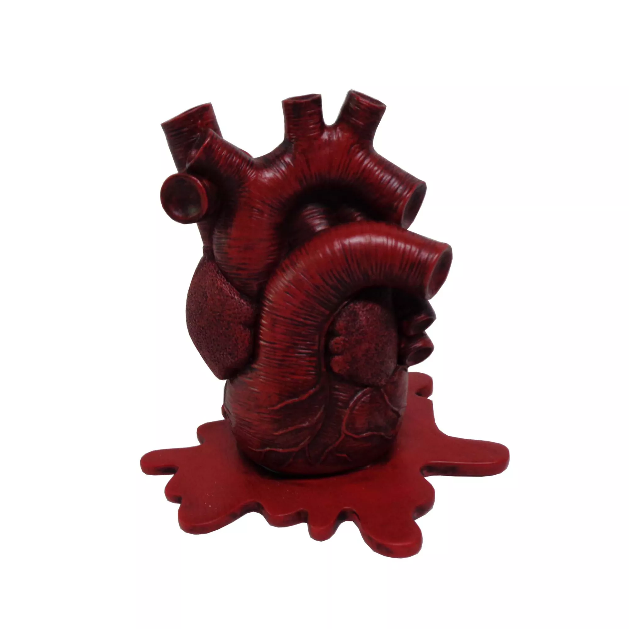 Anatomical Heart Incense Burner at Spencer's
