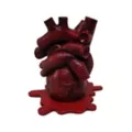 Anatomical Heart Incense Burner at Spencer's