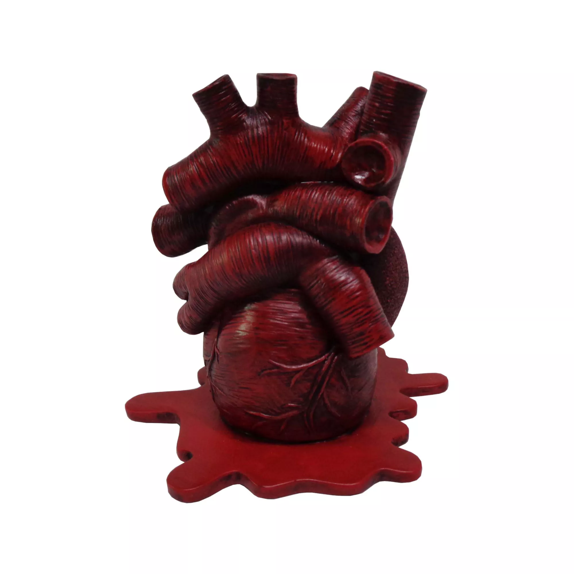 Anatomical Heart Incense Burner at Spencer's