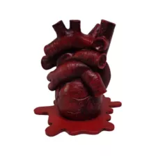 Anatomical Heart Incense Burner at Spencer's