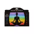 Sacred Chakra Variety Pack Incense - 70 Pack at Spencer's