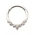 CZ Silvertone Leaf Hinged Septum Ring at Spencer's