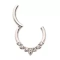 CZ Silvertone Leaf Hinged Septum Ring at Spencer's