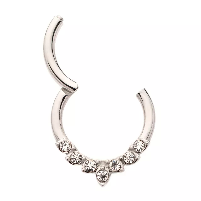 CZ Silvertone Leaf Hinged Septum Ring at Spencer's