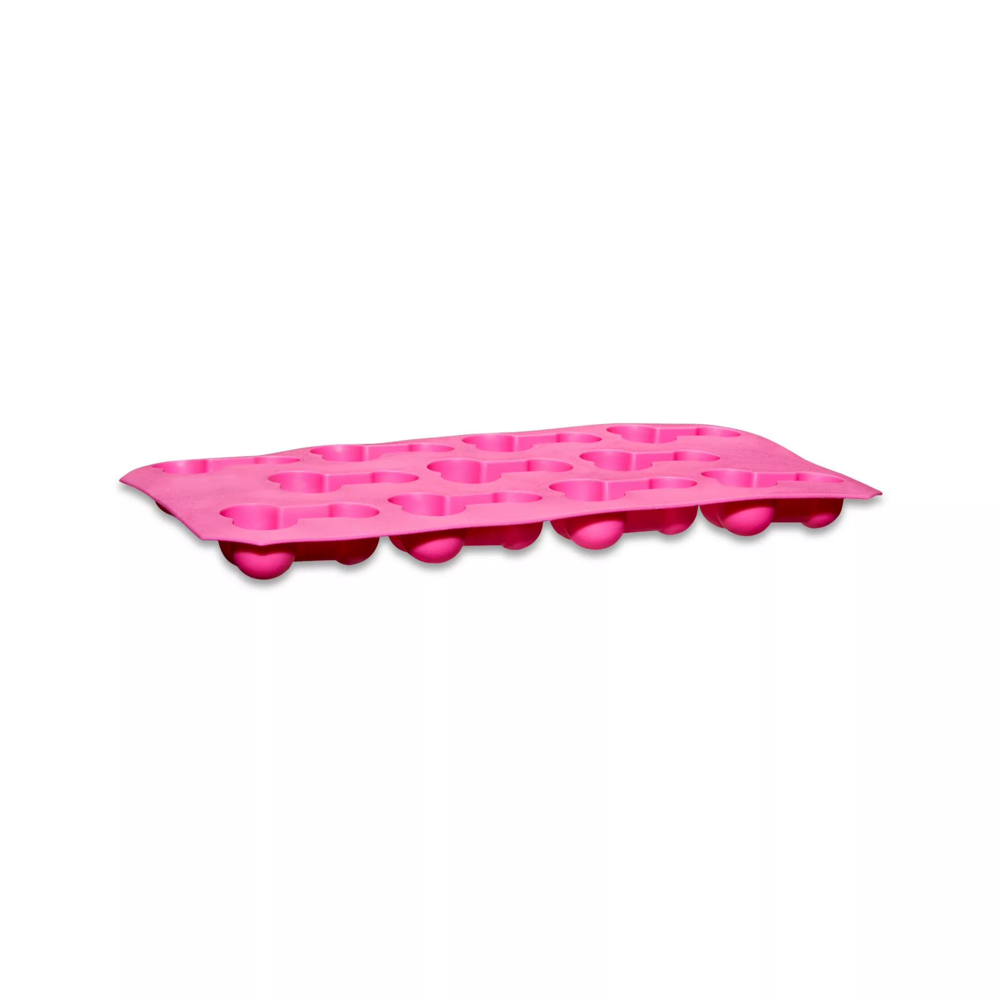 Willy Ice Tray at Spencer's