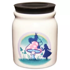 Wonderland Mushroom Stash Jar  - 3 oz. at Spencer's