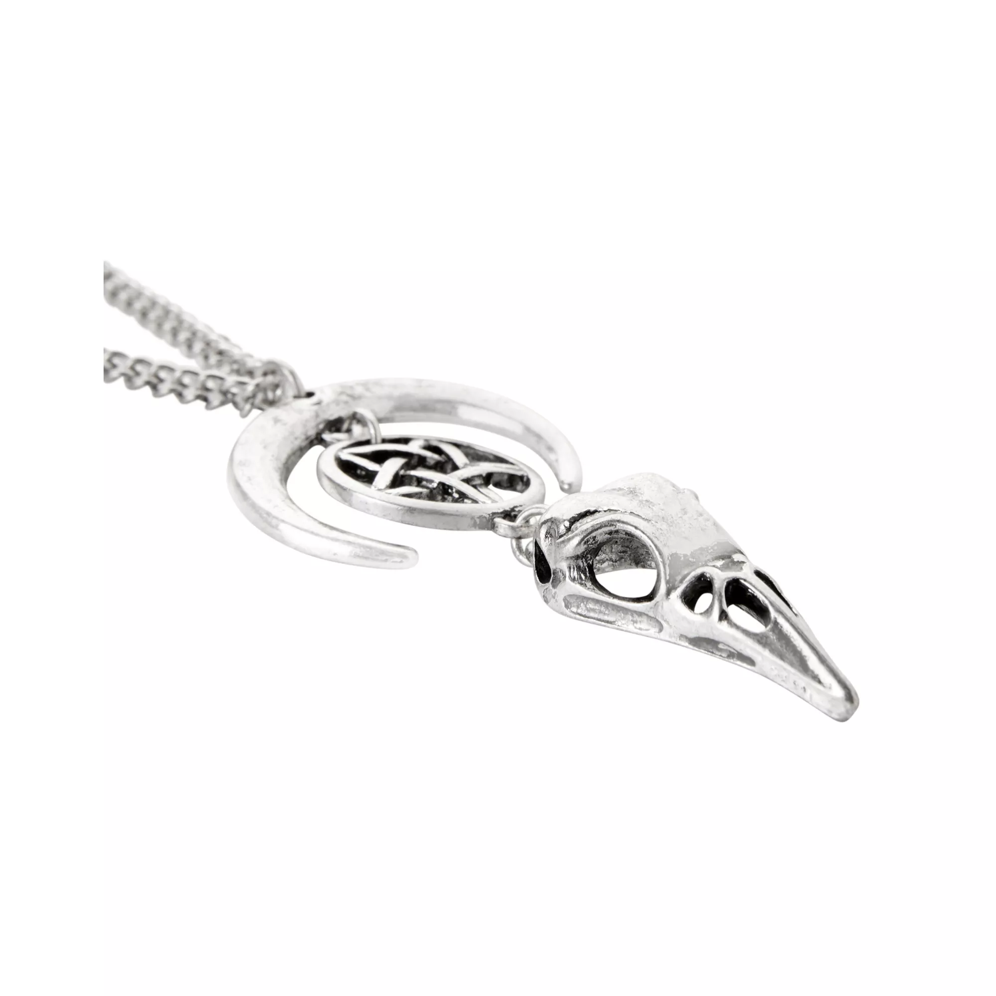 Crescent Raven Skull Chain Necklace at Spencer's