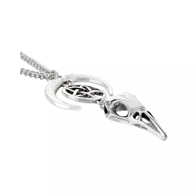 Crescent Raven Skull Chain Necklace at Spencer's