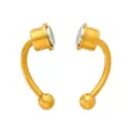 Goldtone Magnetic Fake Septum Ring at Spencer's