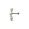 White Teeth Crawler Cartilage Barbell at Spencer's