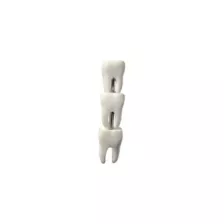 White Teeth Crawler Cartilage Barbell at Spencer's