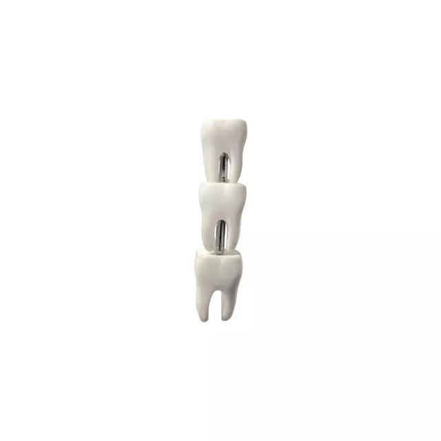 White Teeth Crawler Cartilage Barbell at Spencer's