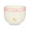 Sailor Moon Bowl with Chopsticks at Spencer's