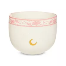 Sailor Moon Bowl with Chopsticks at Spencer's