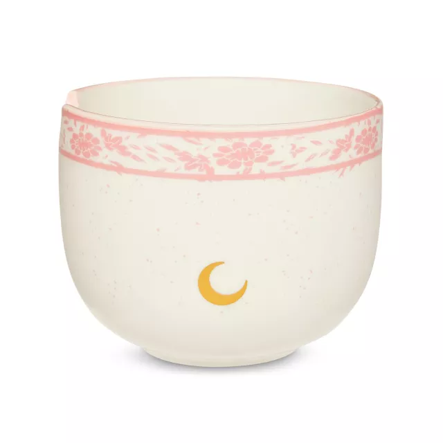 Sailor Moon Bowl with Chopsticks at Spencer's