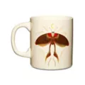 Speckled Moth Coffee Mug - 20 oz. at Spencer's