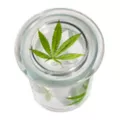 Pressed Weed Leaf Stash Jar - 12 oz. at Spencer's