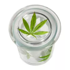 Pressed Weed Leaf Stash Jar - 12 oz. at Spencer's