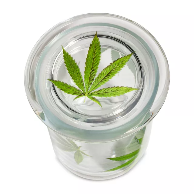 Pressed Weed Leaf Stash Jar - 12 oz. at Spencer's