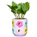 Pastel Yin and Yang Flower Planter at Spencer's
