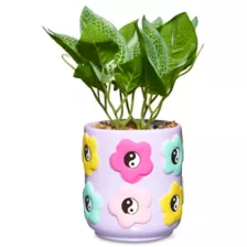 Pastel Yin and Yang Flower Planter at Spencer's