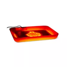 Fuck Off Light-Up LED Tray at Spencer's