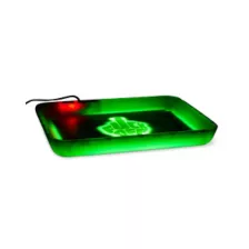Fuck Off Light-Up LED Tray at Spencer's