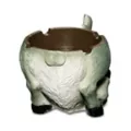 Donkey Asstray Ashtray at Spencer's