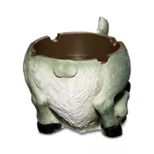 Donkey Asstray Ashtray at Spencer's