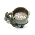 Donkey Asstray Ashtray at Spencer's