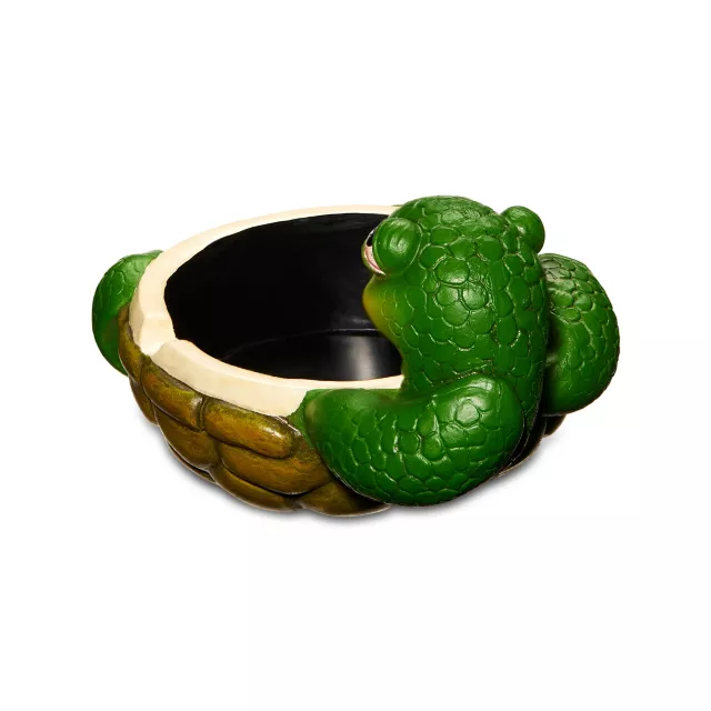 Smoking Turtle Ashtray at Spencer's